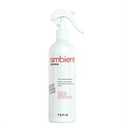 TEFIA AMBIENT Service Спрей-стабилизатор процедуры окрашивания, 500 мл AMB64846 - фото 3891