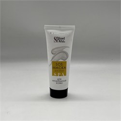 Planet SPA Altai Маска для проблемной кожи лица с серебром, 75 мл 2L-1504 - фото 4883