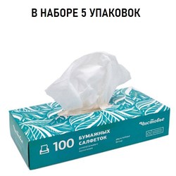 Набор Салфетки бумажные 2-слойные вытяжные Чистовье 100 шт/упк 5 уп 00-274/5 - фото 6883