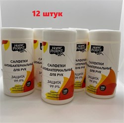 Набор Влажные салфетки Home Protect антибактериальные в тубе, 100 шт - 12 упаковок НР800005/12 - фото 7095