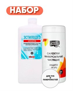 Набор для дезинфекции рук и поверхностей Эстилодез 1 л + Home Protect в тубе, 100 шт NAB-43494 - фото 7315
