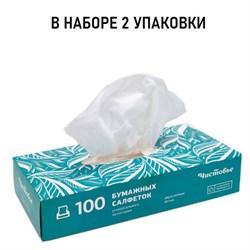 Набор Салфетки бумажные 2-слойные вытяжные Чистовье 100 шт/упк 2 уп 00-274/2 - фото 7434