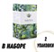 Чай Niktea Milk Oolong Молочный Улун зеленый ароматизированный, 2 упаковки 80526/2 - фото 7781