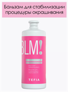 Бальзам для стабилизации процедуры окрашивания TEFIA 1000мл 067915